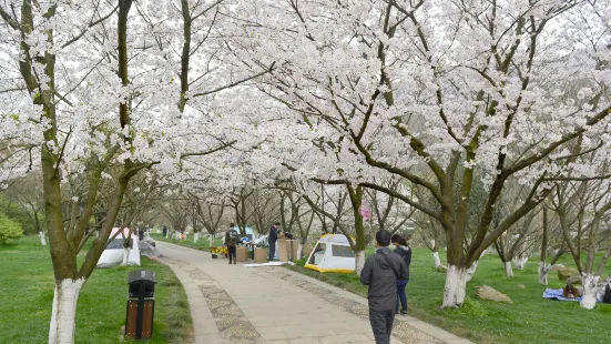 Jiufeng Mountain Wangao Scenic Area