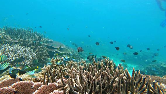 Shimei Bay Jiajing Island Diving Base