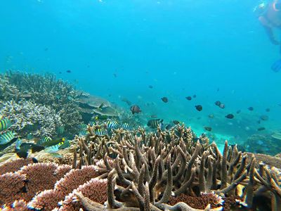 Shimeiwan Jiajing Island Diving Base
