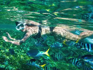 北海潛水