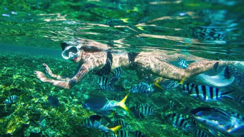 Snorkeling or Scuba Diving in Beihai attraction in Beihai