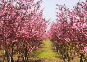 草河國家濕地公園