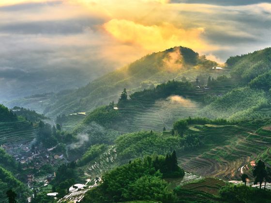 雲和梯田景區九曲雲環