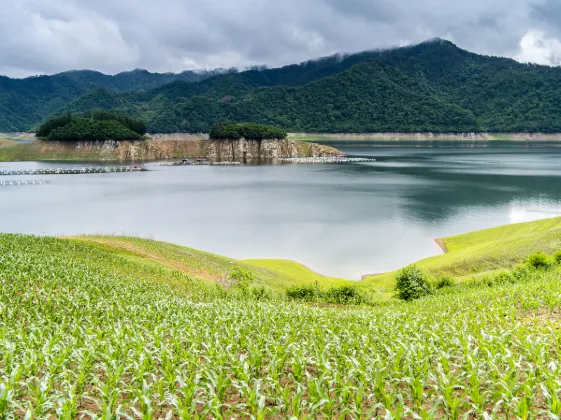 Vé máy bay TP. Hồ Chí Minh Triều Dương