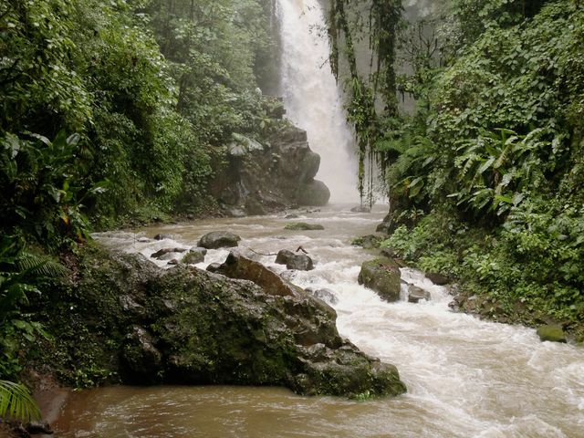 La Paz Waterfalls Gardens in Heredia
