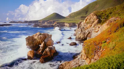 캐멀 travel destination