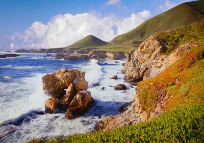 Carmel