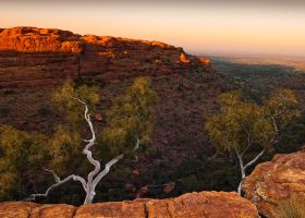 Jetstar Airways(JQ) flights from Darwin to Alice Springs