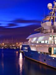 Cruise New Zealand Luxury Charters