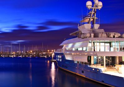 Cruise New Zealand Luxury Charters