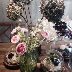 Bar San Calisto User Photo