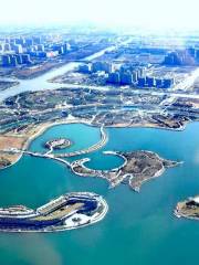 上海之魚直升機觀光