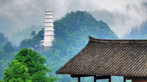 遵義特色體驗