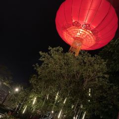 TAIGENBAO WUMIZHOU User Photo