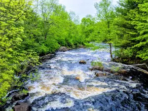 Frank E Jadwin Memorial State Forest