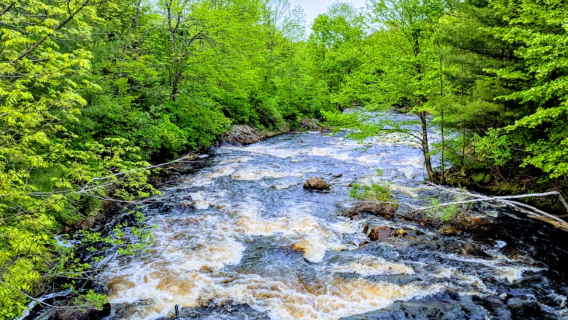 Frank E Jadwin Memorial State Forest