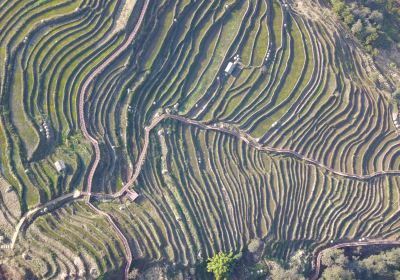 Xinshan Terraces