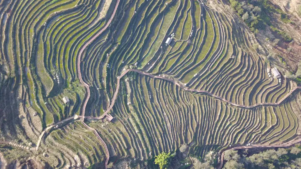 3_Xinshan Terraced Fields