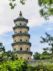 Growing Buddhist Relics Tower