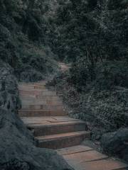 Fujian Linyin Stone Forest