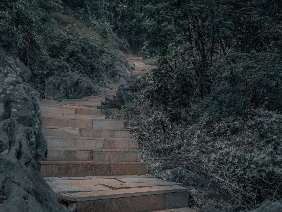 Fujian Linyin Stone Forest