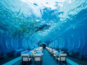 Aqua - Aquarium Restaurant