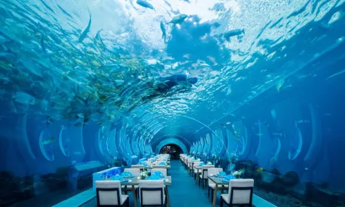 Aqua - Aquarium Restaurant