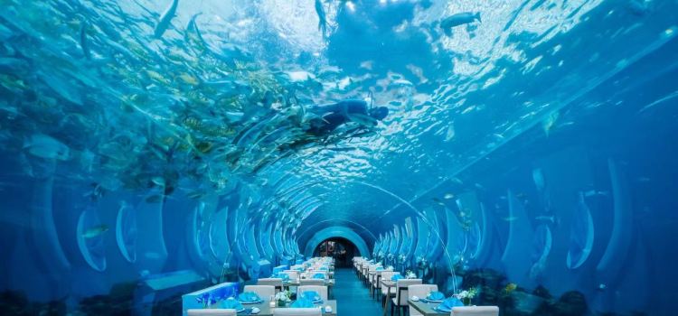 Aqua - Aquarium Restaurant