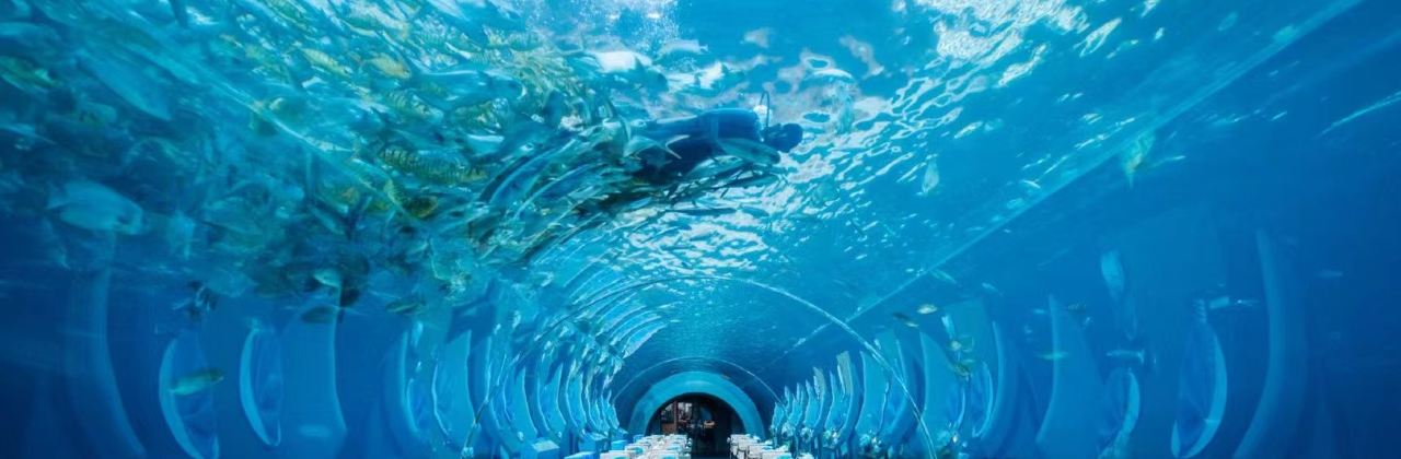 Aqua - Aquarium Restaurant