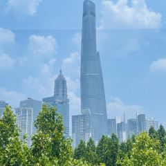 新荣记(BFC外滩金融中心店) User Photo