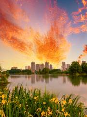 Hanjiang Wetland Park