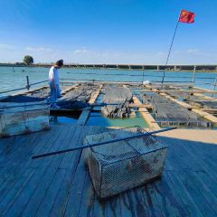 貢里人家張用戶圖片