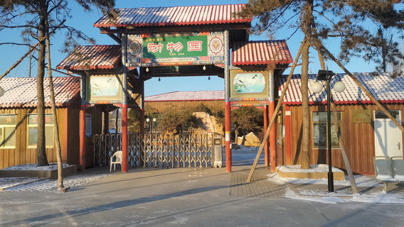 Classic Car Theme Park