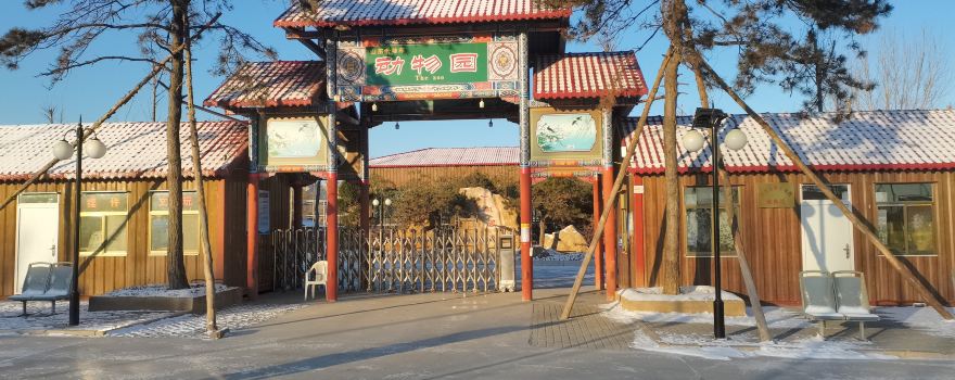 Classic Car Theme Park