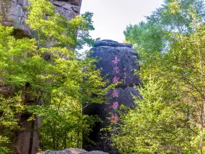 黑龍江伊春花崗巖石林國家地質公園