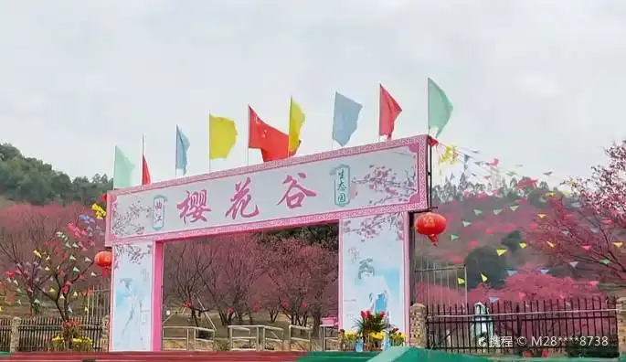 Hotels near Sakura Valley