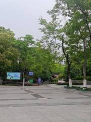 Luyu Park