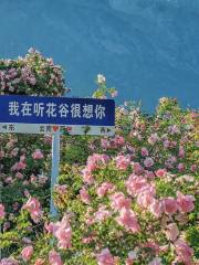 Tinghua Valley - Lijiang Flowers Garden