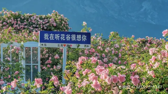 聽花谷-麗江百花園