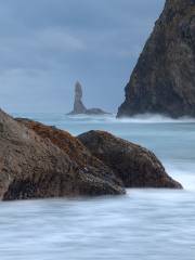 Second Beach Trail