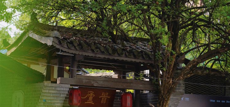 贵庐·上品膳食(省委店)