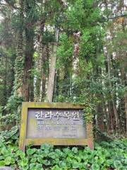 Halla Eco Forest