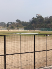 Indira Gandhi stadium, Una