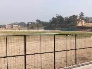 Indira Gandhi stadium, Una