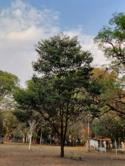 Parque Infantil, Araraquara, São Paulo, SP.