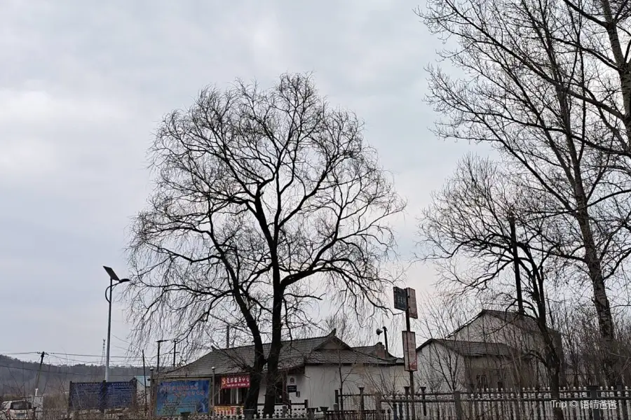 Korean Folk Village, Xingguang Village