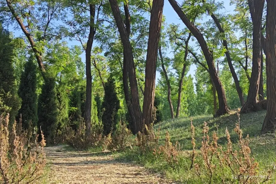 Tianqimiao Ruins