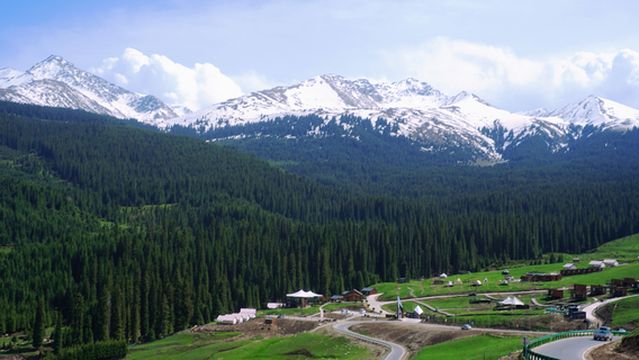 qiong ku shen tai - ye she lu ying di