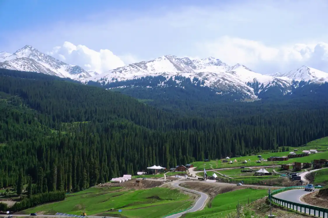 柏雅·柏景灣野奢營地附近的飯店