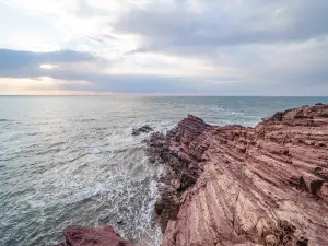 Rock Row Landscape